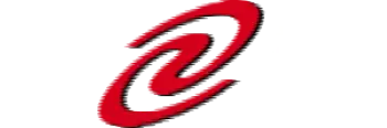 东升国际 logo